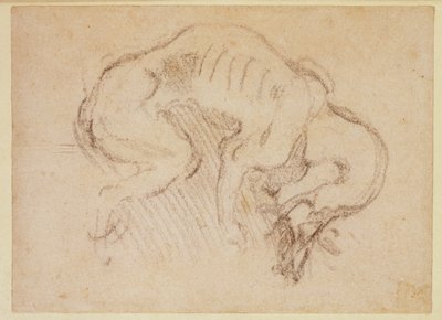 Estudio de un perro de Michelangelo Buonarroti